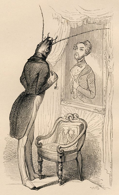 Drawing of a costumed insect looking at its human reflection in a mirror
