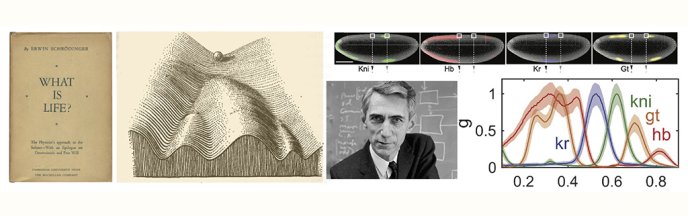 Composition d'images sur l'information biologique