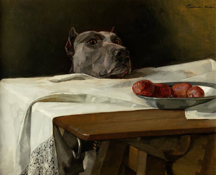 Dog looking at a plate of sausages on a table