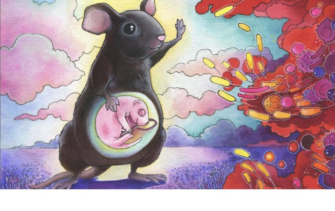 Illustration d’une souris noire enceinte avec un fœtus visible dans son ventre, levant une patte vers un nuage coloré de formes évoquant des bactéries