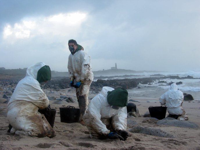 Équipe en combinaison de protection nettoyant une plage avec des seaux.