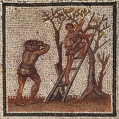 Détail de la mosaïque de Saint-Romain-en-Gal représentant une pratique agricole de la Gaule romaine