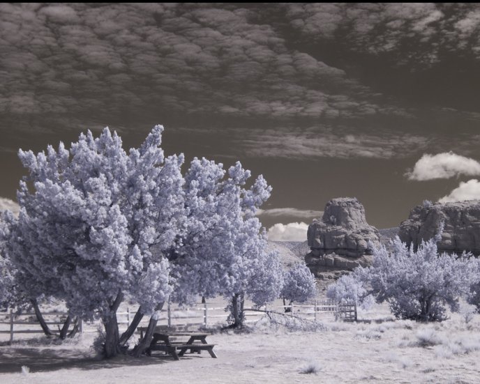 Afficher l'image en plein écran : Paysage en infrarouge avec arbres en fleurs, banc et rochers en arrière-plan