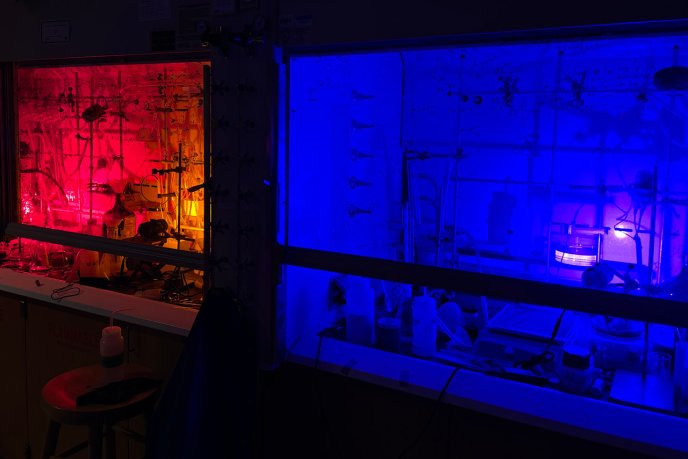 Display the full size picture: Vue d’un laboratoire sous éclairage rouge et bleu, montrant du matériel scientifique et un technicien en travail. 