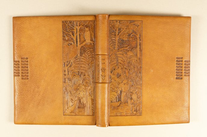 Livre ancien en cuir gravé avec motifs floraux et animaux, ouvert.