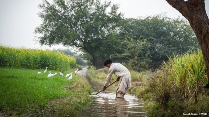 Afficher l'image en plein écran : Un homme dans un cours d'eau en train de travailler la terre
