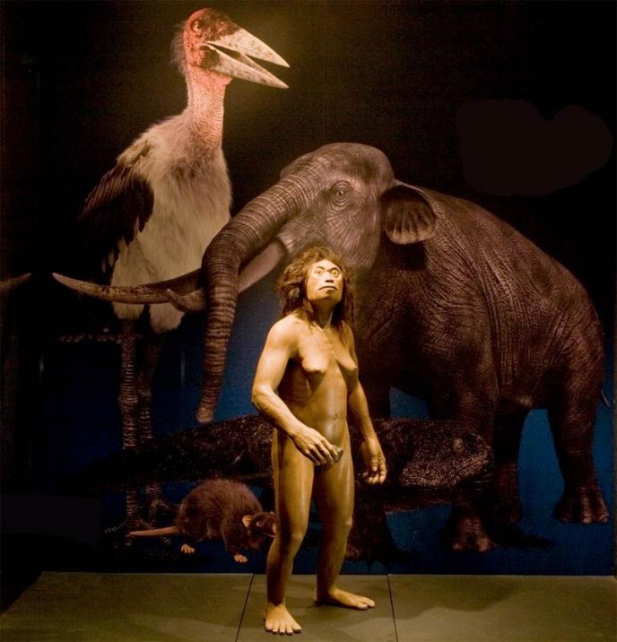 Afficher l'image en plein écran : Reconstitution muséale d’un humain préhistorique entouré d'un mammouth, d’un grand oiseau et de petits mammifères