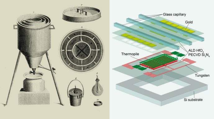 Afficher l'image en plein écran : Bioénergétique et métabolisme
