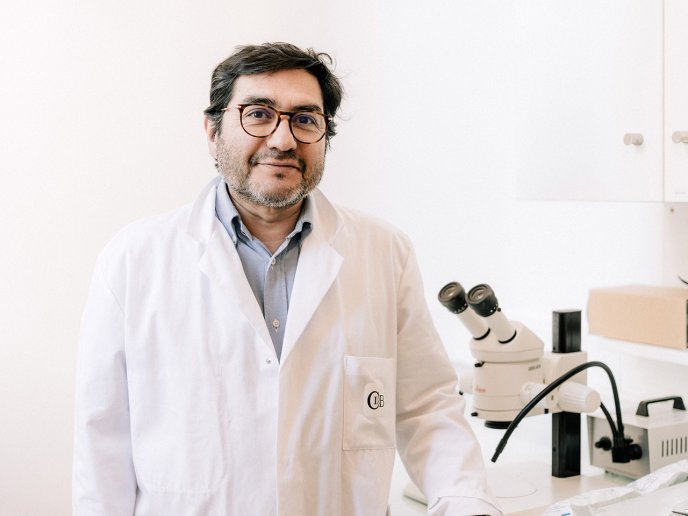 Rodrigo Alvear Perez portrait photo