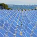 Champ de panneaux photovoltaïques