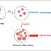 Senescence like markers