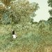 Les grands espaces, Catherine Meurisse, 2018, Éd. Dargaud (excerpt)