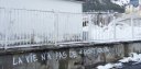 Inscription sur un mur : La vie n'a pas de frontières