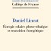Couverture de l'édition imprimée de la leçon inaugurale de Daniel lincot