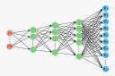 Neural network – Javier Robledo-Moreno (NYU et CCQ)