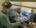 Researcher studying a bone in a clean room - © J. Krause
