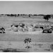 Millet huts and granaries (Robert Pageard archives)