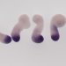 Expression du gène Cyp26a1 dans des gastruloides de souris