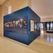 Exposition muséale avec portraits historiques et squelettes humains en arrière-plan.