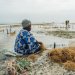 Femme travaillant dans une exploitation d’algues en bord de mer, entourée de filets et de végétaux.